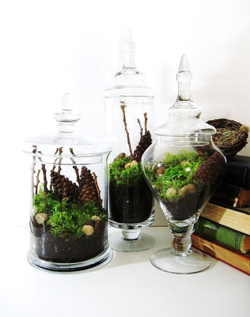 terrarium jars display