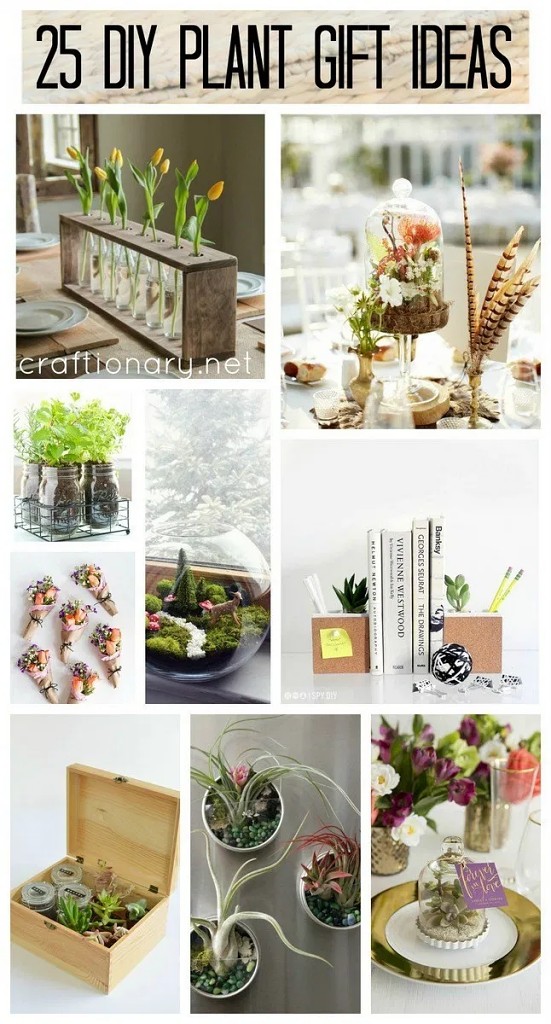 https://www.craftionary.net/wp-content/uploads/2016/02/DIY-plant-gift-ideas-for-every-special-ocassion.jpg