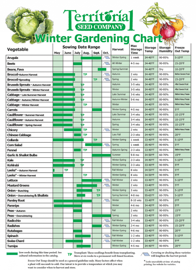 Best winter gardening solutions and protection for plants Craftionary