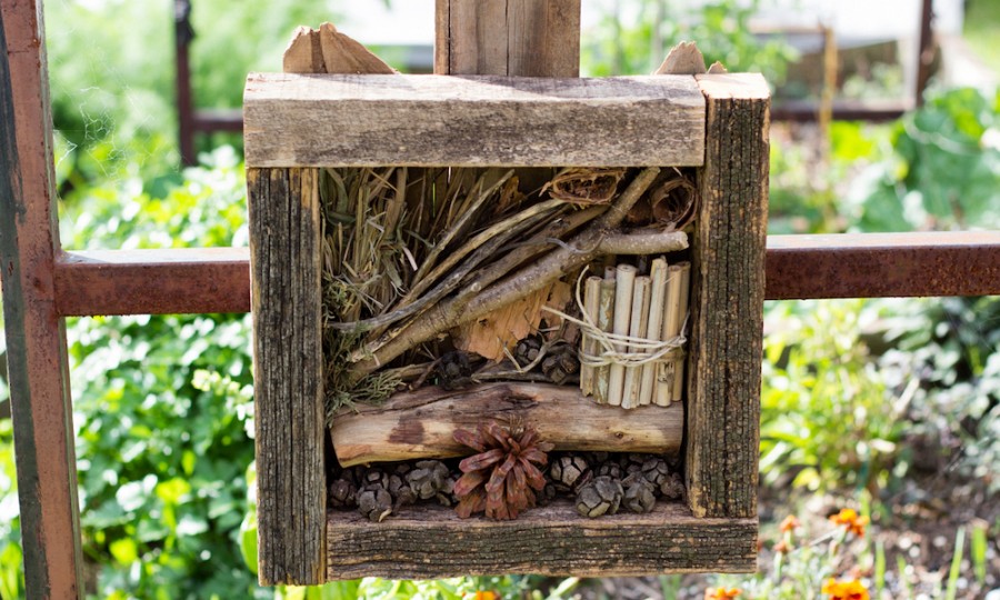 install-simple-Bug-Hotel-at-home-garden