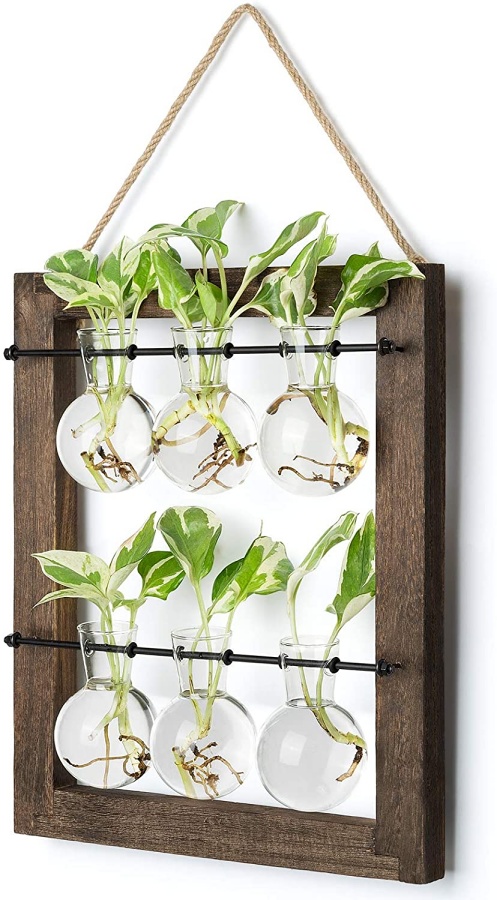 Make plant propagation station that works without test tubes