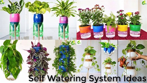 Climate Quick Tip: A DIY Self-Watering Plant System - Bluedot Living