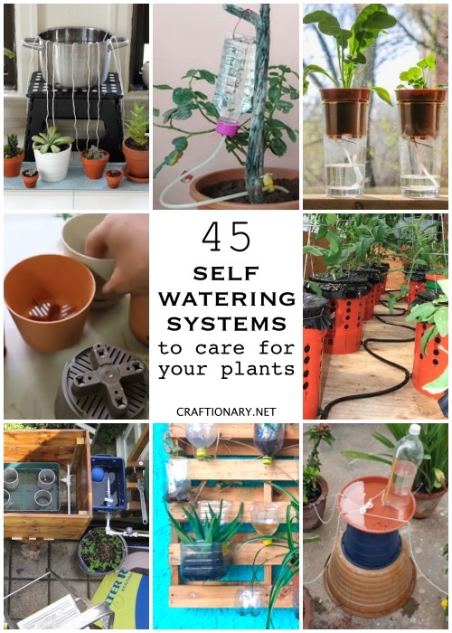 https://www.craftionary.net/wp-content/uploads/2022/09/self-watering-planters-diy-systems.jpg
