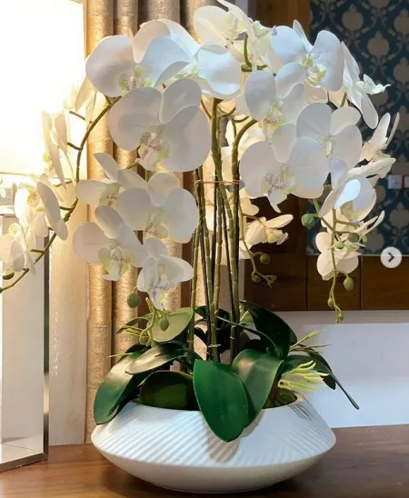 https://www.craftionary.net/wp-content/uploads/2022/12/orchid-vase-decor-for-home-idea.webp