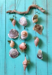 seashells-hanging-air-plant-holder