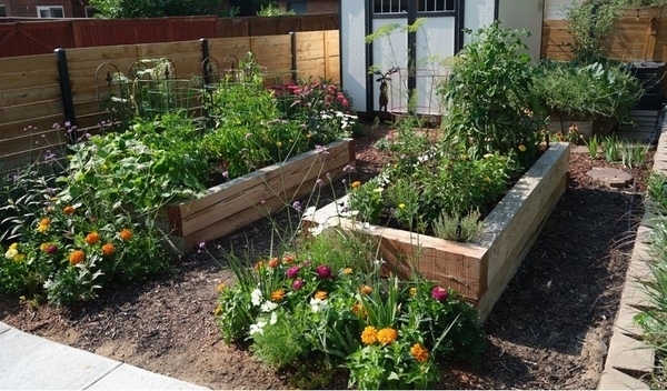 7 Inexpensive Raised Garden Bed Ideas (Pros and Cons) - An Oregon Cottage