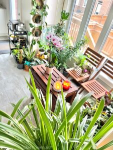 small-indoor-garden-diy-nook-ideas