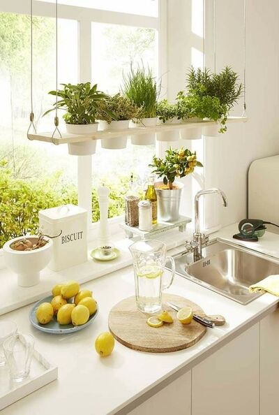 Floating-shelf-herb-plant-with-wood-plank-and-steel-wire