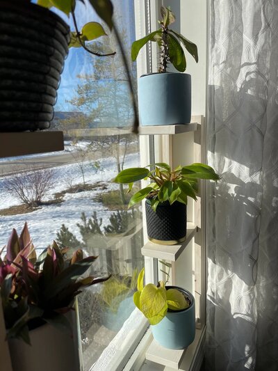 Handmade-Plant-Windowsill-Shelf