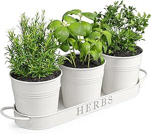 Herb-garden-planter-set-with-tray