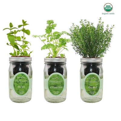 Hydroponic-Herb-Garden-Kit