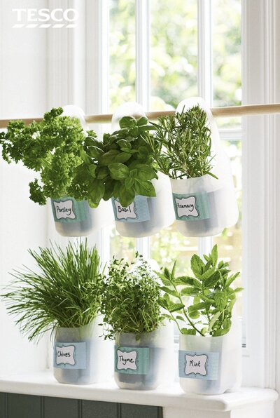 Plastic-Bottle-Kitchen-Herb-Planters