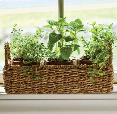 Rattan-Basket-windowsill-Planter
