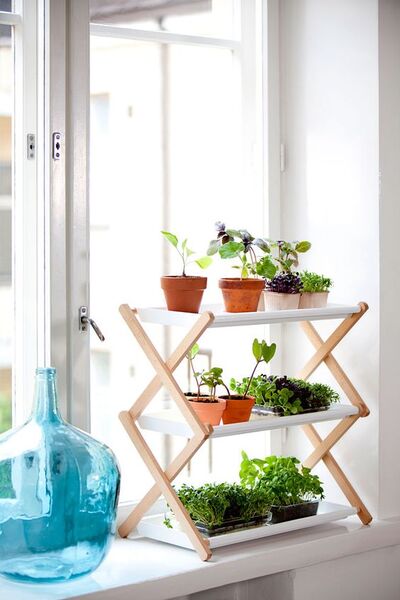 Three-tier-plant-shelf-in-the-window