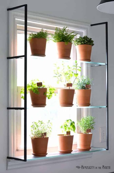Window-herb-garden-plant-shelf