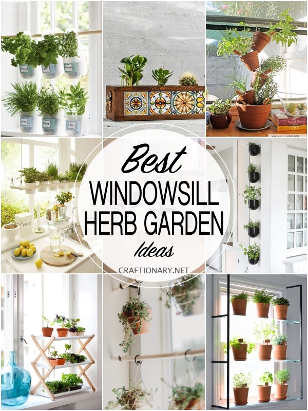 windowsill-herb-garden-ideas-projects