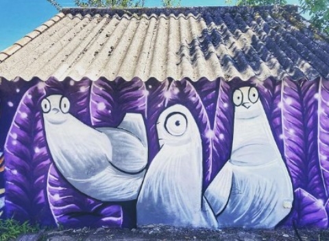 inquisitive pigeons mural with a distinctive purple haze