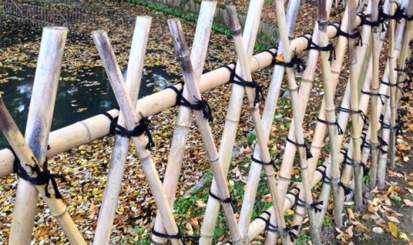 diy-bamboo-fences-and-trellises
