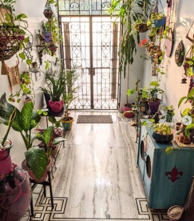 Hang planters or terrariums from the ceiling