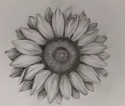 3D-Sunflower-Pencil-Sketch