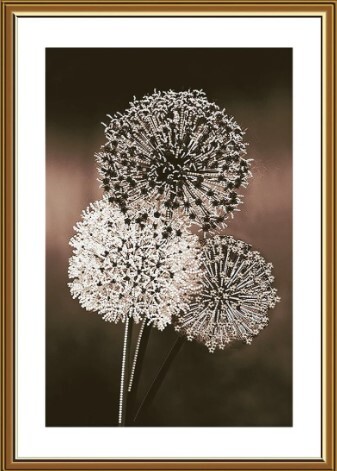 Bead Embroidery Dandelions Kit