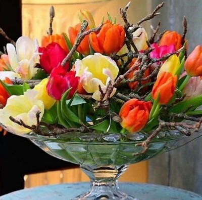 Tulips with Magnolia branches