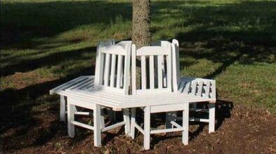 Build a bench around the tree using old kitchen chairs