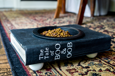 Old-Book-Cat-Food -Bowl