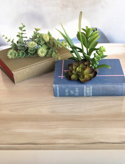 Old-Book-Planter