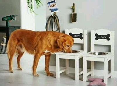 Turn an old wooden chair into a dog feeding Station