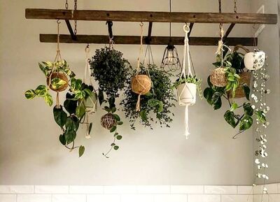 Use the chair rest to make an efficient Herb Dryer Rack