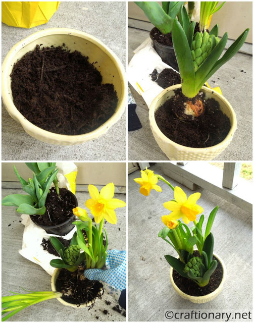 easy flower pot mothers day gift idea daffodils yellow is for friendship