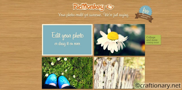 picmonkey-picture-editor-tutorial-2