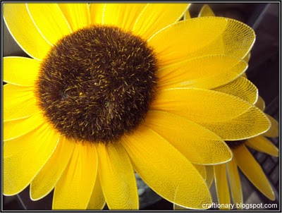 make-nylon-sunflowers