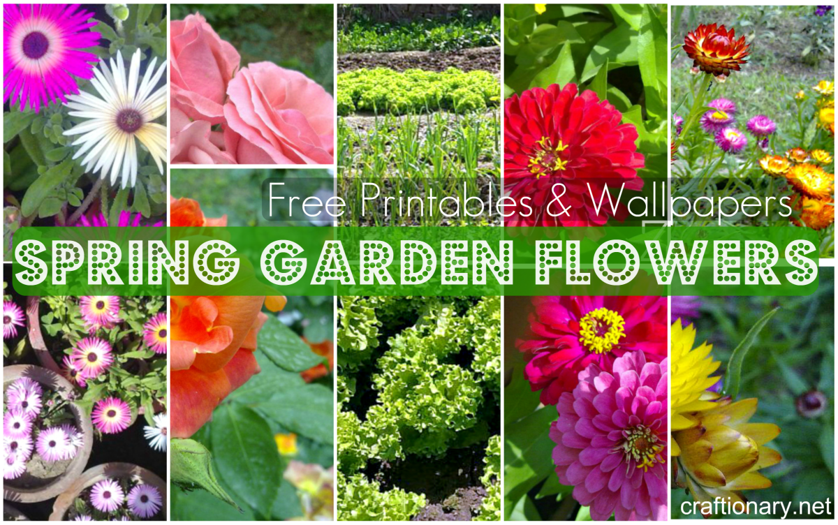 free wallpaper spring garden