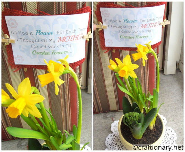 simple daffodils in planter with printable mom quote gift idea